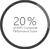 MIPS Composite performance Score