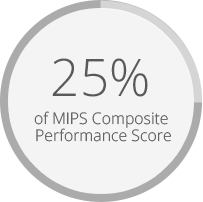 MIPS Composite performance Score