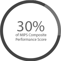 MIPS Composite performance Score